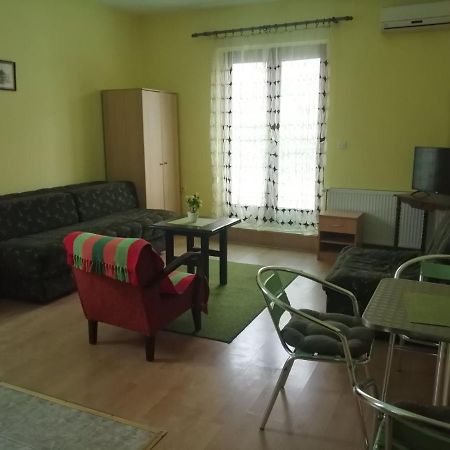Apartments Hadzi Sokobanja Extérieur photo