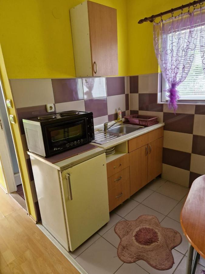 Apartments Hadzi Sokobanja Extérieur photo