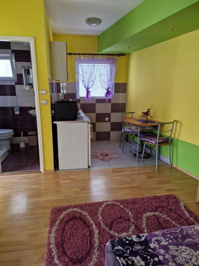 Apartments Hadzi Sokobanja Extérieur photo