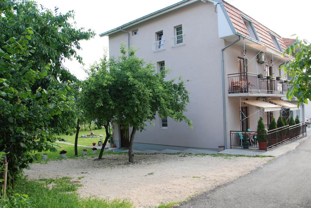 Apartments Hadzi Sokobanja Extérieur photo